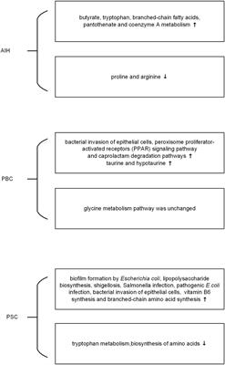The Microbiome in Autoimmune Liver Diseases: Metagenomic and Metabolomic Changes